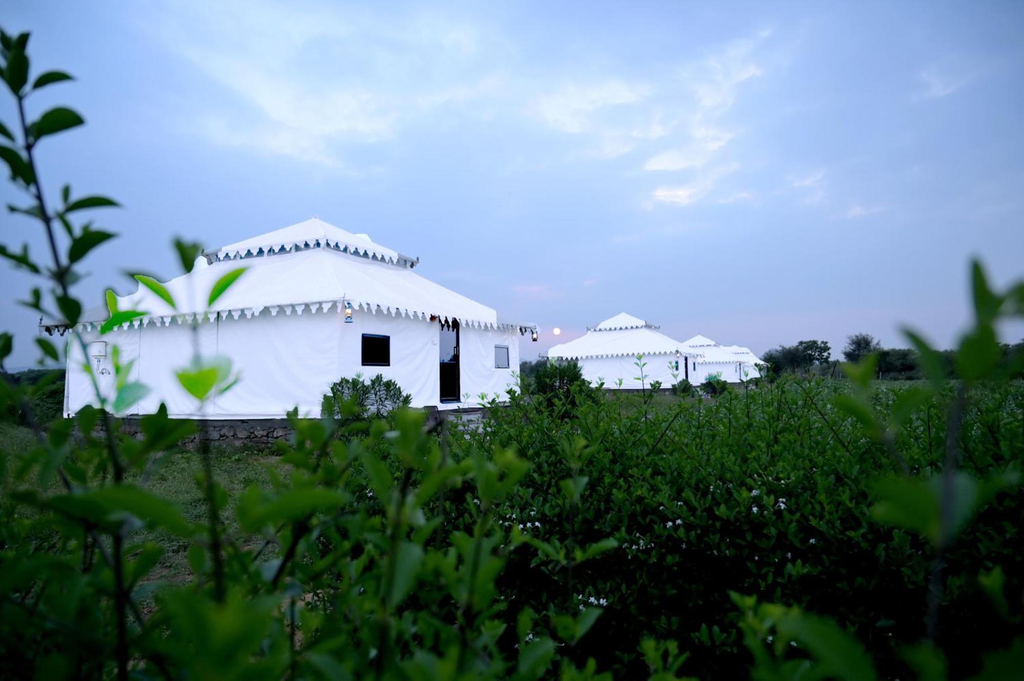 The Bagheera Bagh Jawai Hotell Bera Exteriör bild